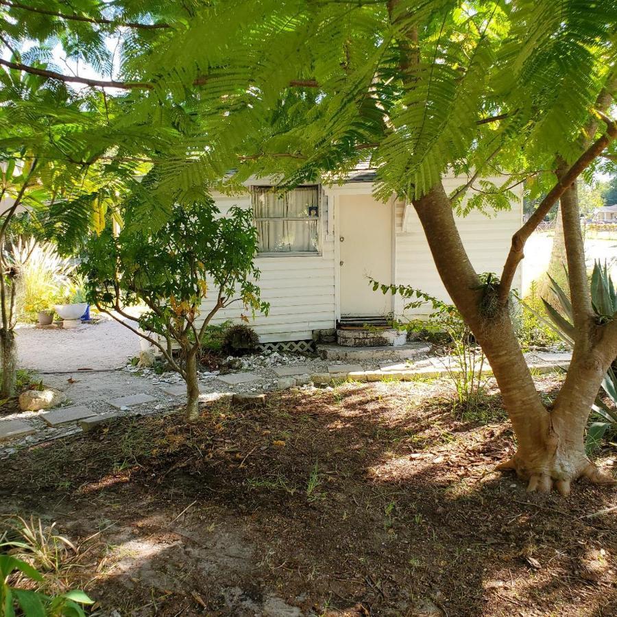 1 Beige Cozy Bungalow Or 1 White Cozy Efficiency Cottage In تيتوسفيل المظهر الخارجي الصورة