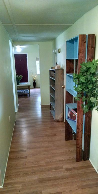 1 Beige Cozy Bungalow Or 1 White Cozy Efficiency Cottage In تيتوسفيل المظهر الخارجي الصورة