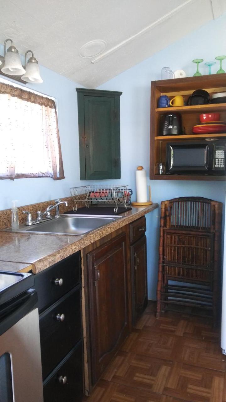 1 Beige Cozy Bungalow Or 1 White Cozy Efficiency Cottage In تيتوسفيل المظهر الخارجي الصورة